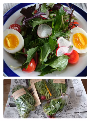 みんなの投稿の画像