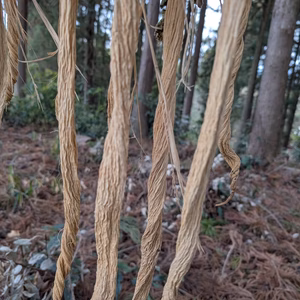 干し大根（甘い）　漬物干し大根規格外（細い大根を凍った状態からカラカラまで）大