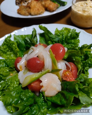 みんなの投稿の画像