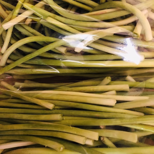 ＊産地直送＊　ニンニクの芽