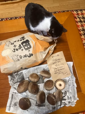 みんなの投稿の画像