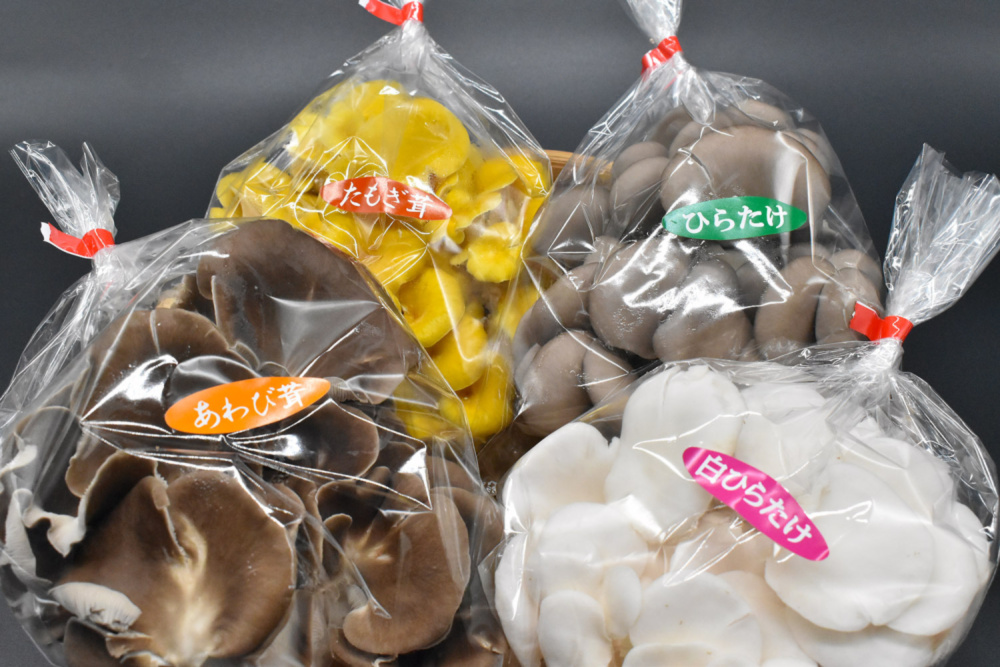 【月2回発送】お任せきのこの定期便｜野菜の商品詳細｜ポケットマルシェ｜産直(産地直送)通販 - 旬の果物・野菜・魚介をお取り寄せ