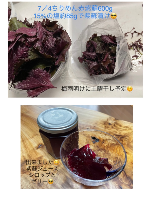 ポケットマルシェ 旬の食べものを農家 漁師から産地直送で通販 取り寄せ