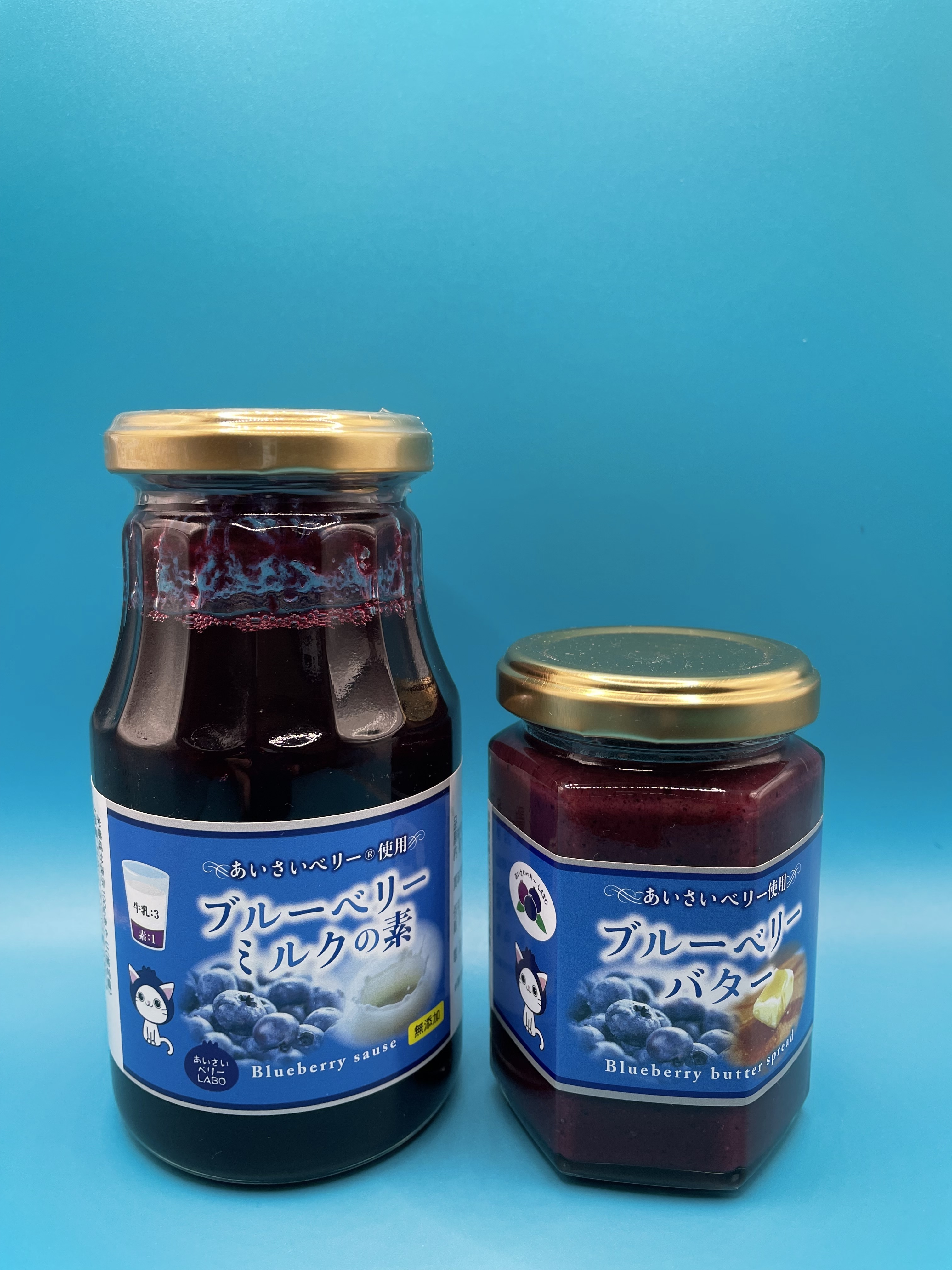 愛知県愛西市｜あいさいベリーLABO｜野田一也さんの生産者