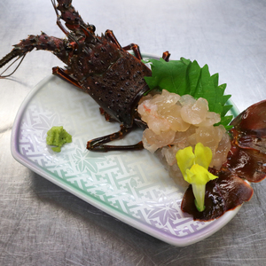 【伊勢志摩！】伊勢海老と人気の貝BOX BBＱにも