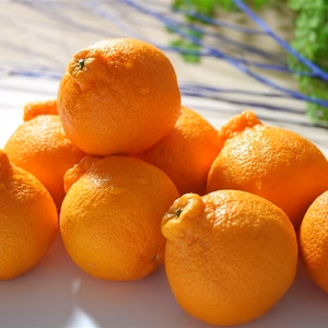 愛媛県産デコ不知火（しらぬい）【ご家庭用】