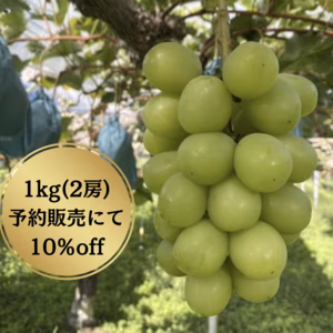 【予約販売で10％off】よしだ葡萄園のシャインマスカット 1kg（2房）