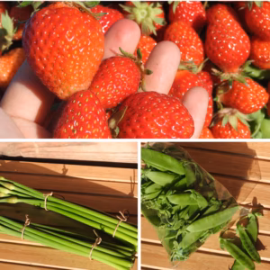 【水無月】旬菜小包（しゅんさいこづつみ）農薬・化学肥料・動物性堆肥不使用