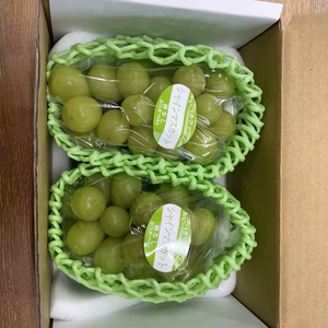 【⠀大分県安心院産シャインマスカット】ご家庭用2房