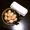 会津地鶏たま【平飼い有精卵】