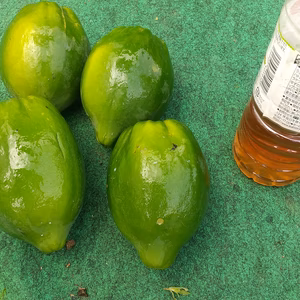 【訳有りお得❗️】  青パパイヤ２キロ(農薬不使用)