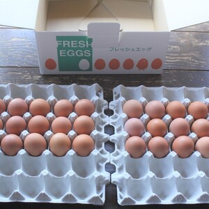 河内山養鶏場の卵（Mサイズ3０個）