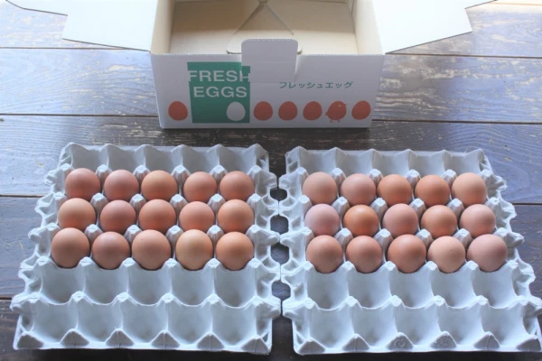 河内山養鶏場の卵（Mサイズ3０個）