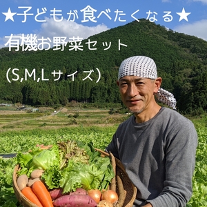 ★子どもが食べたくなる★　旬の高原野菜セット（有機、農薬不使用）「S・M・L」