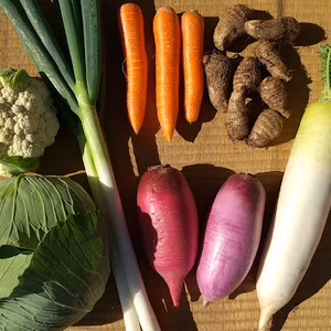 野菜詰め合わせ、野菜セット（８種類）