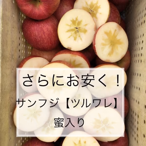 サンふじ家庭用【ツルワレ】見た目が悪い　味は美味しい！蜜入り！