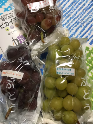 みんなの投稿の画像