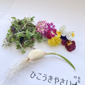 【お年玉限定商品】マイクロリーフMIX+エディブルフラワーMIX+発芽にんにく 