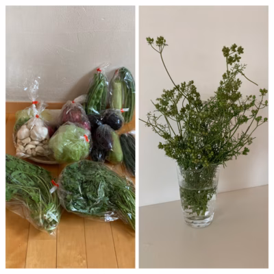 みんなの投稿の画像