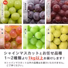 【予約商品】訳あり・規格外品 シャインマスカットと品種お任せぶどう詰合せセット