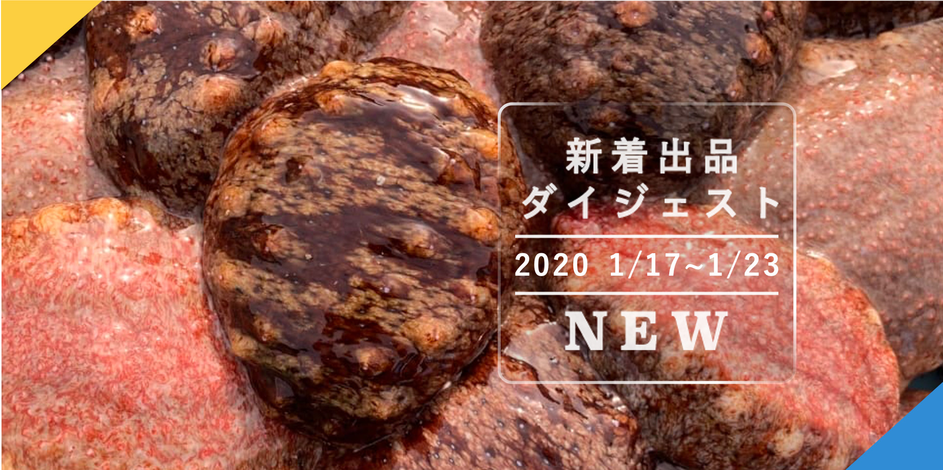 バックナンバー]今週のおすすめ(2020年1月24日編) | 農家漁師から産地