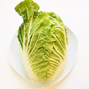 和らぎ農法　白菜