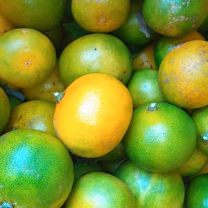 蜜柑　自然栽培　農薬肥料不使用