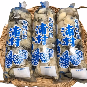 【生牡蠣】【生食用】むき身 牡蠣（500g入り）三重県産 浦村かき