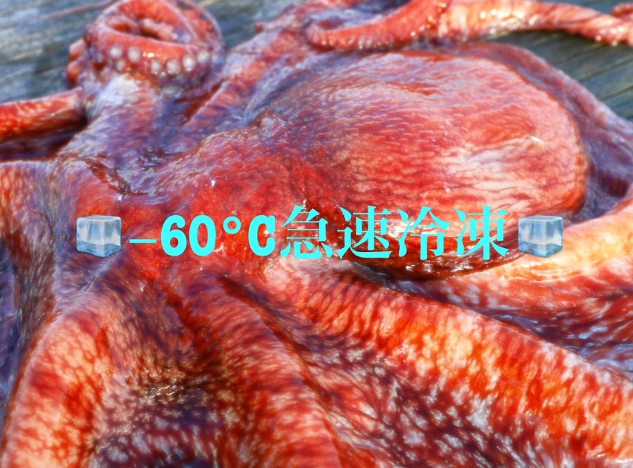 秋田県産 ミズダコbox 水蛸 急速冷凍 タコ3キロ 農家漁師から産地直送の通販 ポケットマルシェ