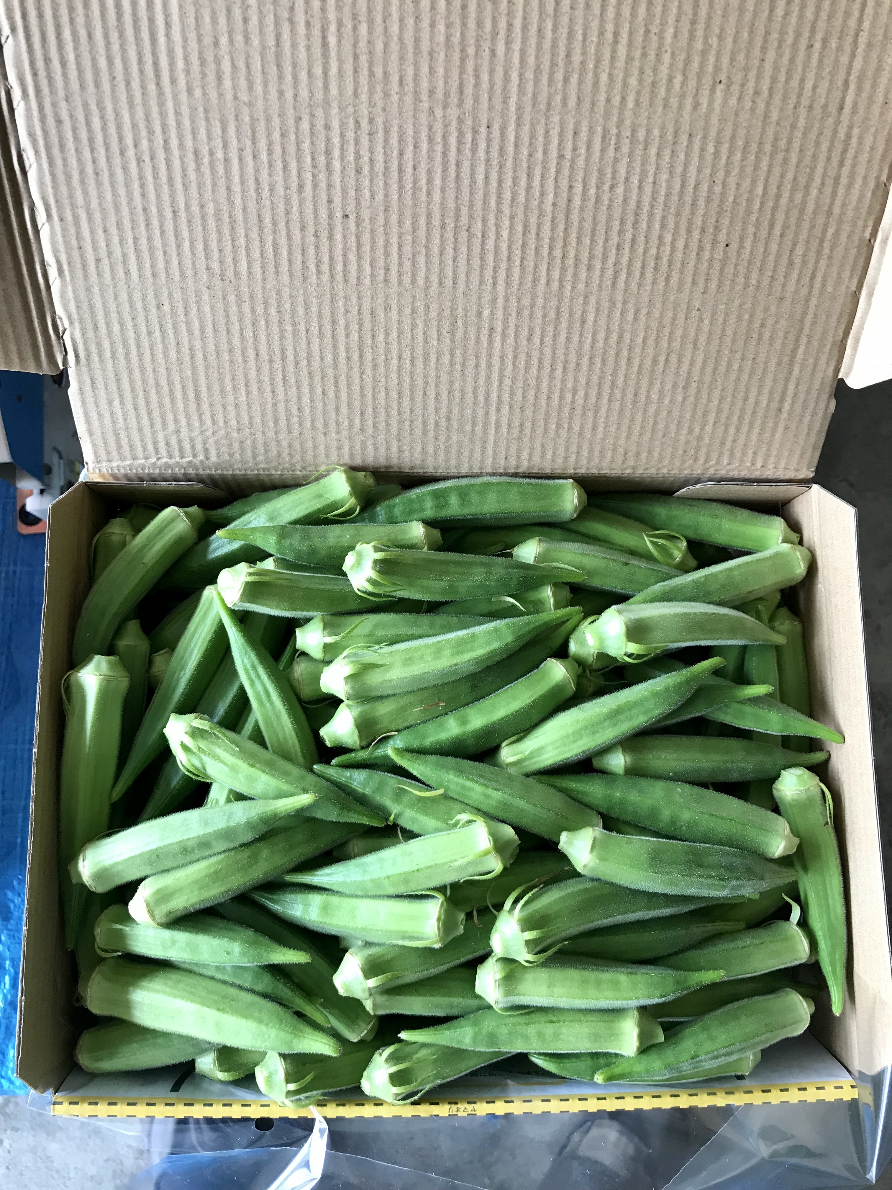 オクラの通販・お取り寄せ商品｜野菜｜ポケットマルシェ｜産地