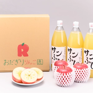 青森県産りんご【家庭用】2.5kg【簡易ラベル】りんごジュース2本入り2箱セット