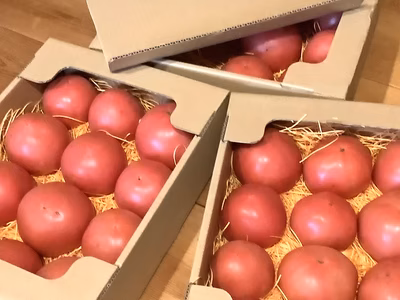 みんなの投稿の画像