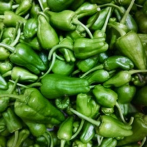 この夏のおつまみに♪パドロン(Pimentos de Padron)