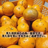 《超お得》10kg★500円『紅甘夏 』初夏の味★ 収穫数限定！訳あり みかん