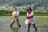 幻のお米！『自然栽培米ササシグレ玄米』掛田米！(
