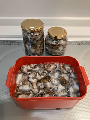 みんなの投稿の画像