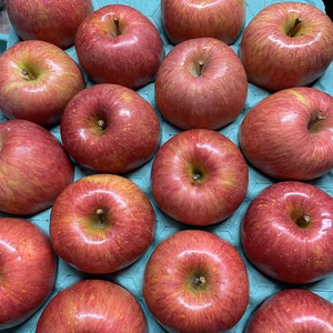 【青森県産】サンふじりんご10キロ箱36個入