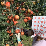 中谷慶子 | n-farm