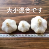 自然栽培 伊豆産にんにく 大小混合【農薬不使用】