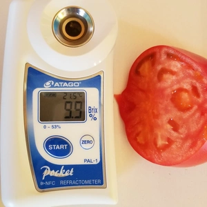 深層水トマト3キロ！富山県の海洋深層水を使用したミネラルたっぷりトマト