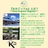 飛騨高山野菜『おおごっつぉ』お試しセット