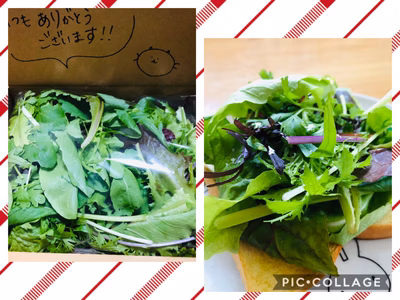 みんなの投稿の画像