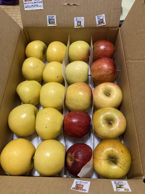 みんなの投稿の画像