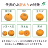 愛媛の旬のかんきつを詰め合わせ！バラエティセット 訳あり3kg