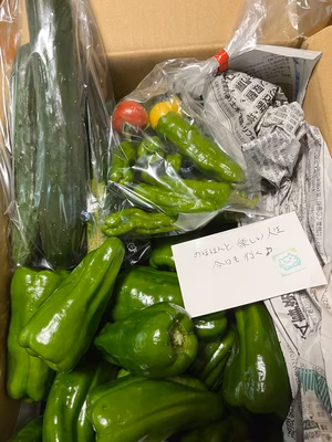 みんなの投稿の画像