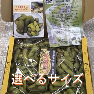 まだまだ美味しい♪　晴れの国岡山より黒大豆「作州黒」えだ豆枝豆　丹波種
