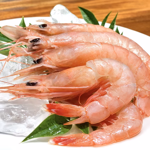 【ポケマル夏のGOHOUBI】美味しさを享受するとろけるような食感！トロえび大