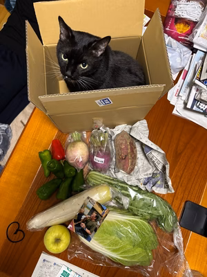 みんなの投稿の画像