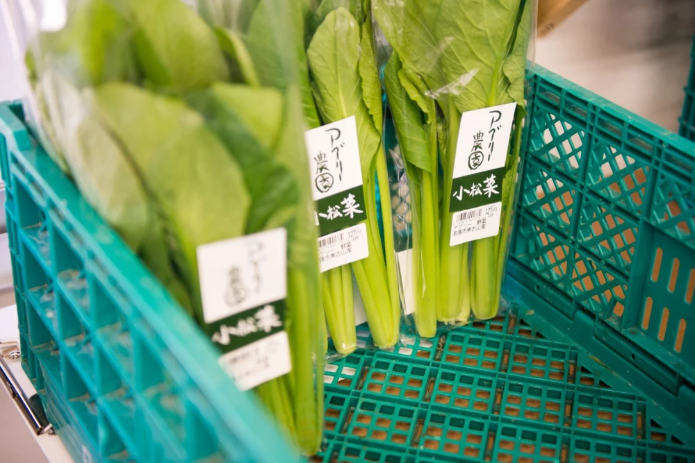 【全国送料一律/送料込み】主婦のこだわり！新鮮水耕栽培お野菜セット小