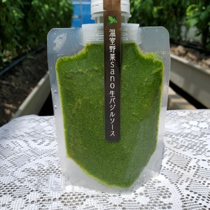 温室野菜 sano 生バジルソース１パック１３０g×４